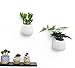 T4U 3.9 Inch Wall Mounted Succulent Hanging Planter Container Ceramic Aloe Plant Pot – Small White, Home and Office Desktop Decoration Ideal Gift for Wedding, Birthday, Party, Christmasthumb 1