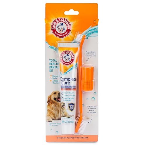 Arm & Hammer Dental Kit