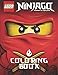 LEGO NINJAGO Coloring Book: Activity Book for Kids - 40 illustrations