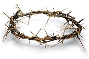 Holy Land Imports Passion of Christ Crown of Thorns/Authentic Crown of Thorns Comes in Gift Box with Description