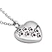 LuckyJewelry Pet Paw Print Cremation Jewelry Urn Necklaces for Ashes Memorial