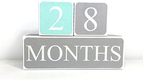 Age Blocks- Turquoise and Gray Baby Age Blocks, Milestone Blocks, Photo Prop