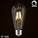 ASOKO LED Edison Light Bulb 6W 2700K Warm White Vintage Style Bulbs, ST64, Edison Light Bulbs, Vintage Bulbs LED, 60W Equivalent (6W-Clear-2700K)