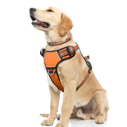 WINSEE No Pull Dog Harness Front Back Leash Control