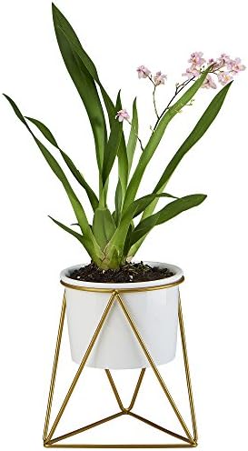 Planter Pot Indoor, Flowerplus 4.33 Inch White Ceramic Medium Succulent Cactus Flower Plant Round Bowl with Iron Rack Holder and Plants Sign for Indoors Outdoor Home Garden Kitchen Decor (Golden)