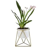 FLOWERPLUS Planter Pot Indoor, 4.33 Inch White Ceramic Medium Succulent Cactus Flower Plant Round Bowl with Metal Stand Holder and Plants Sign for Indoors Outdoor Garden Kitchen Decor (Golden)