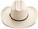 Stetson Men's Alamo Hat