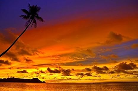Amazon Com Tropical Paradise Poster Amazing Sunset Shot Rare Hot New 24x36 Posters Prints