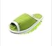 Goldball Removable Ultrafine Chenille Cleaning Dusting Mopping Shoes Microfiber Dusting Mopping Slipper Fits Women Size 6 to 9 (Green)