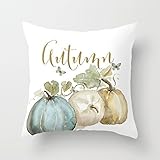 Autumn Pumpkins Decorative Polyester Throw Pillow Case Cushion Covers with Zip 16 x 16 for Living Room