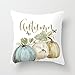 Autumn Pumpkins Decorative Polyester Throw Pillow Case Cushion Covers with Zip 16 x 16 for Living Room