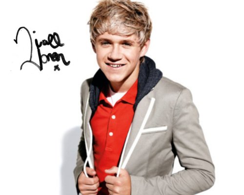 1d in America Part 1 (Niall's unofficial diary)
