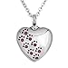 LuckyJewelry Pet Paw Print Cremation Jewelry Urn Necklaces for Ashes Memorial