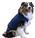 SurgiSnuggly Dog Diapers Male OR Dog Diapers Female Bodysuit Can Use for Female Dog Heat Cycle and It's Comfier Than Dog Suspenders from The Inventors of The Original Bodysuit for Pet's M Blue