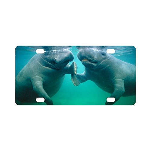 Manatee License Plates | Kritters in the Mailbox | Manatee License Plate