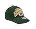 NFL Green Bay Packers Curve Classic 39Thirty Flex Fit, Small/Medium