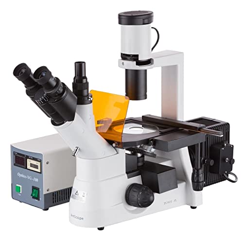 AmScope IN300TC-FL Inverted Microscope
