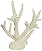 Deep Blue Professional ADB80090 Staghorn Coral for Aquarium, 7 by 3.5 by 8-Inch