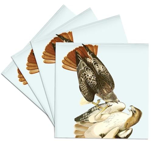 3dRose Red-Tailed Hawk Attack Audubon Birds of Prey America Vintage Art Print S…
