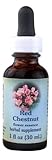 Flower Essence Healing Herbs Red Chestnut Dropper -- 1 fl oz