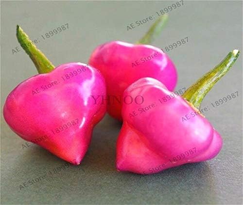 Bra Hot - 200 Pcs Mixed Yellow Puple Red Green White Mix Sweet Bell Hot Pepper Bonsai Vegetables Paprika, Plant for Home Garden(Seed) - by Abuldahi