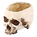Resin Halloween Skull Head Flower Pot Planter Scene Decoration Candy Bowl
