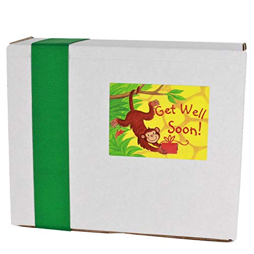 6 Package+Chocolate+Sickness+Surgery+Recovery