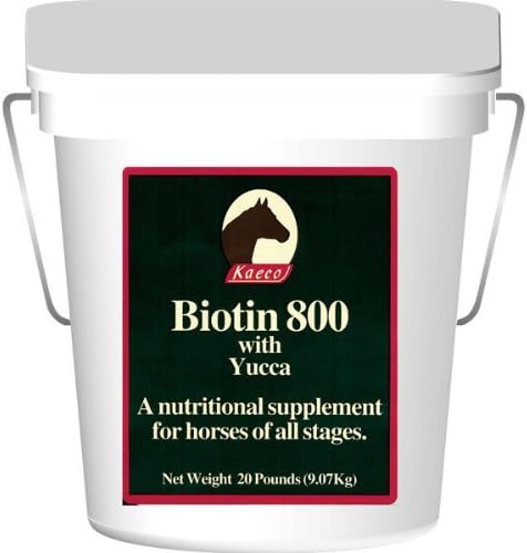 Biotin 800 Powder with Yucca 20lbs