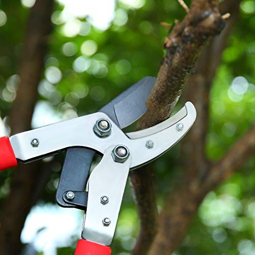 Terme Pruning Shears Compound Action Anvil Lopper Chops Thick Branches with Ease 2-Inch Cutting Capacity 30-Inch Tree Trimmer