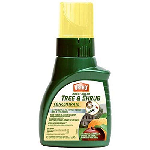 Ortho 0345410 Tree & Shrub Insect Killer Concentrate, 16 Oz 0345410