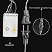 String Lights Night Light Waterproof Dragonfly Lights String Plug in Powered Female Plug (MAX 10) String LED Lights Decorations Wedding Party Christmas (Warm White, 32Feet 100Led)