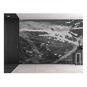 Splatter Paint in Grayscale - Wall Mural, Removable Sticker, Home Decor - 66x96 inches