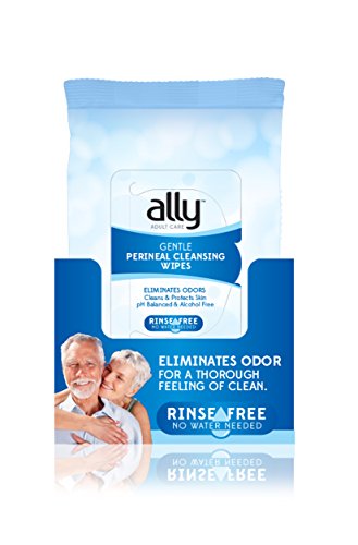 Ally Personal Cleansing Wipes, 600 Wipes (10 Packs of 60 Wipes)