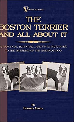 The Boston Terrier And All About It: A Practical, Scientific, And Up to Date Guide to the Breeding of the American Dog �n�[�h�J�o�[ - 2006/1/30
