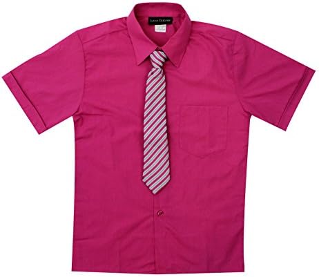 Luca Gabriel Toddler Boy's Short Sleeve Formal Button Down Dress Shirt & Tie Set