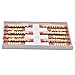 WECANDO 84 Pcs Dental Synthetic Resin Tooth Denture 3 Sets False Teeth for Halloween Horror Teeth 23 A3