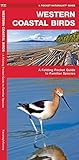 Western Coastal Birds: A Folding Pocket Guide to Familiar Species (Wildlife and Nature Identification) by