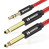 LinkinPerk 3.5mm 1/8" TRS Male to 2X 6.35mm 1/4" TS Male Mono Stereo Y-Cable Splitter Compatible for Home Stereo Systems,Laptop,Amplifier,Mixer Audio Recorder，MP3,etc (2M)(6.6ft)