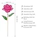 NICEAO Gold Rose 24K Artificial Flowers Dipped Rose Gold Plated Rose with Stand for Lover, Mother, Girlfriend, Valentines Day Gold Dipped Rose, for Her (Pink