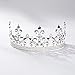 SSNUOY Adjustable Full Round Imperial Medieval Tiara Fleur De Lis King Crown Silver Finish