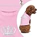 EXPAWLORER Princess Fashion Pet T-Shirt Small Dog Cat Vest Clothes Puppy Costumes for Chihuahua Yorkshire Terrier Pink S