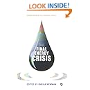 The Final Energy Crisis Sheila Newman 9780745327174 - 