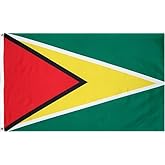 Guyana National Country Flag - 3 foot by 5 foot Polyester (New)