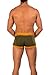 Lumber Collection - AnatoFREE Hipster Trunk - Cypress - Xlarge