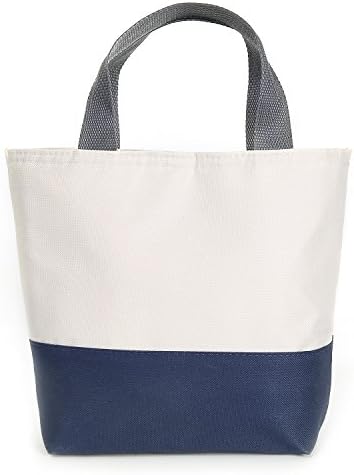 Aike Home Lunch Insulated Bag Box Container Women Work School lunch Holder Tote Bag Travel Outing Food Warm Or Cool Box Waterproof Container Fruit Fresh Carry with Zipper Closure 9 In Size