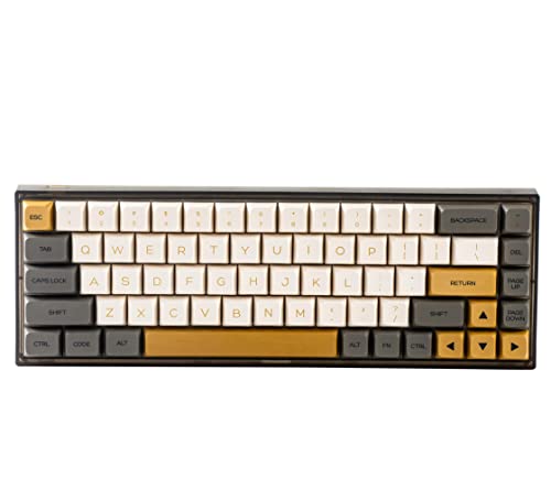 YUNZII KC68 Hot Swappable Mechanical Keyboard 68-Key Gaming Keyboard with Translucent ABS Keyboard Case, RGB Backlit for Mac/Win/Gamers (Gateron Yellow Switch, Translucent Shimmer)
