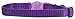 Coastal Pet Safe Cat Adjustable Snag-Proof Nylon Breakaway Collar, Adjust 8