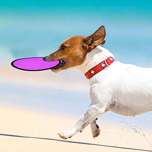 image for Norme Folding Pocket Toy Set Foldable Flying Disc with Bag Fun Birthda