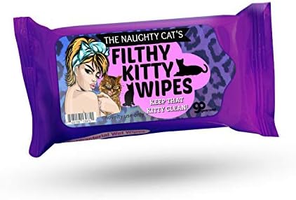 Filthy Kitty Wipes - Funny Wet Wipes - Weird Crazy Cat Lady Gifts for Friends, Pocket Size