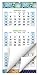 2020 Wall Calendar (Runs from November 2019 through January 2021), 3 month view, 13
